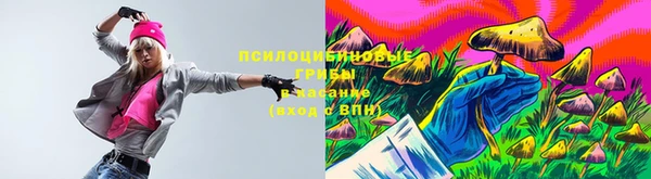 эйфоретик Лабытнанги
